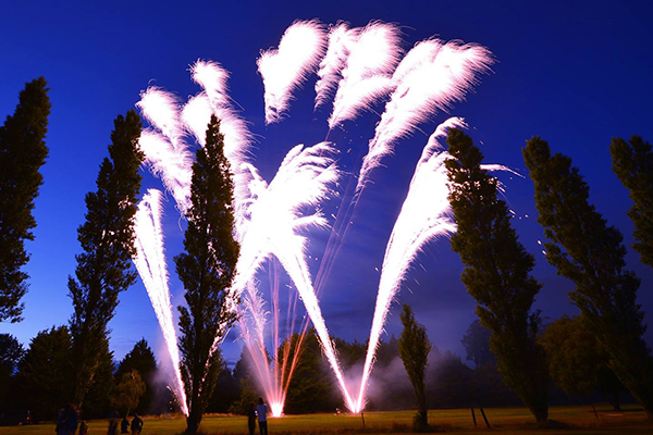 Firework display in a woodland setting