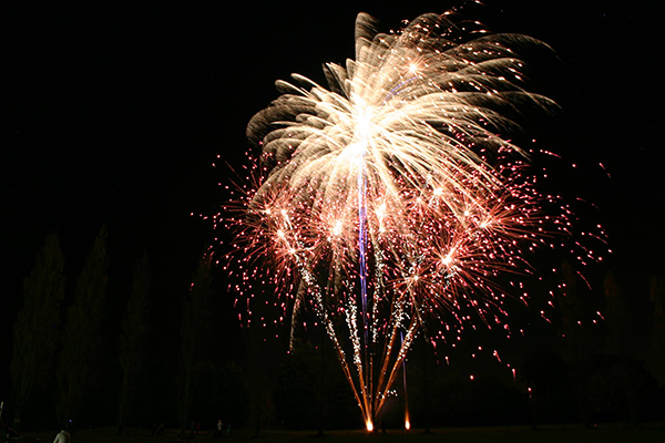 A large firework display fills up the night sky